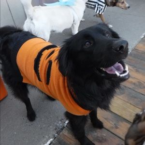 Meet your Posher, Jeffrey